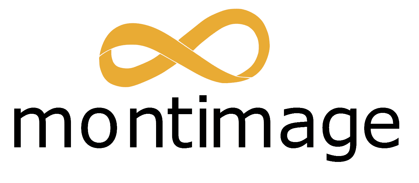 logo_montimage_vertical